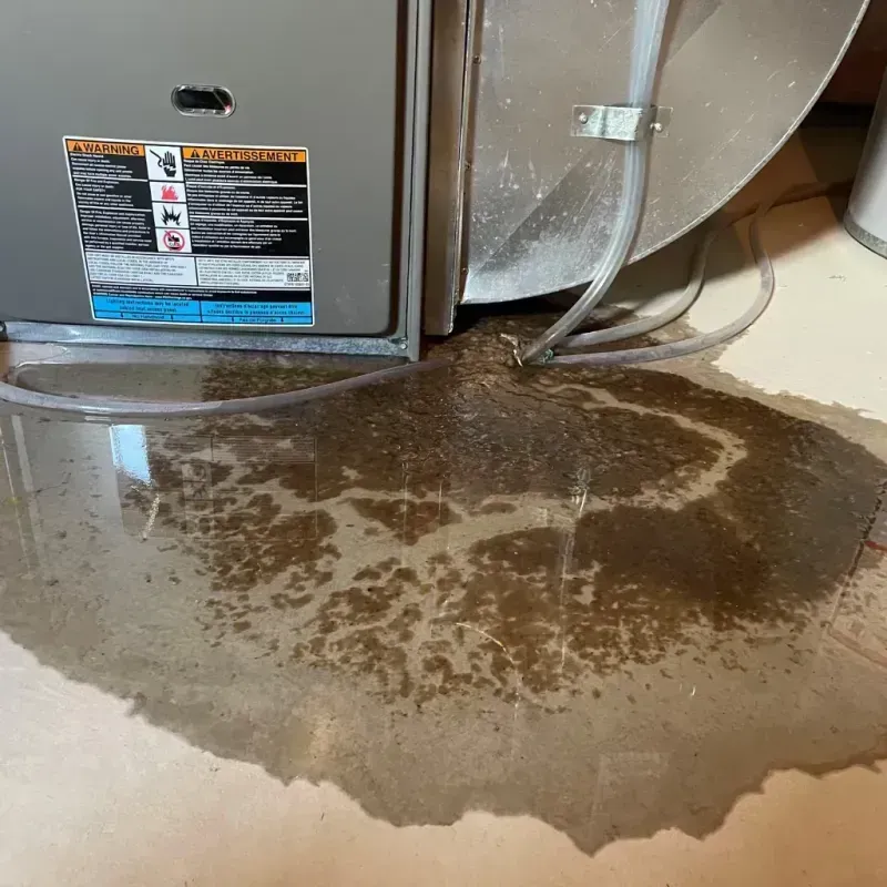 Appliance Leak Cleanup in Cheyenne County, NE